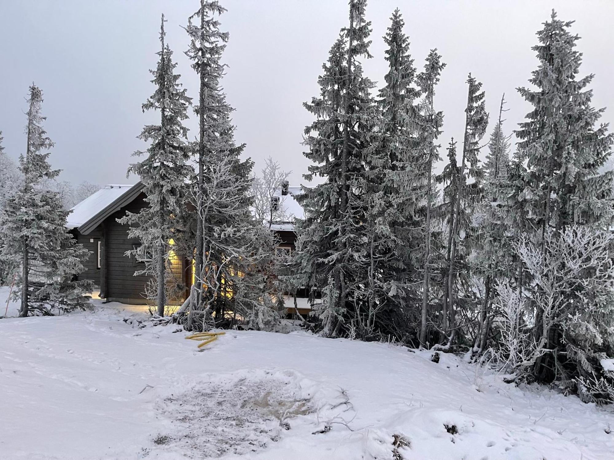 Mountain Holiday Homes - Ottsjoe, Trillevallen -Sweden Åre Cameră foto