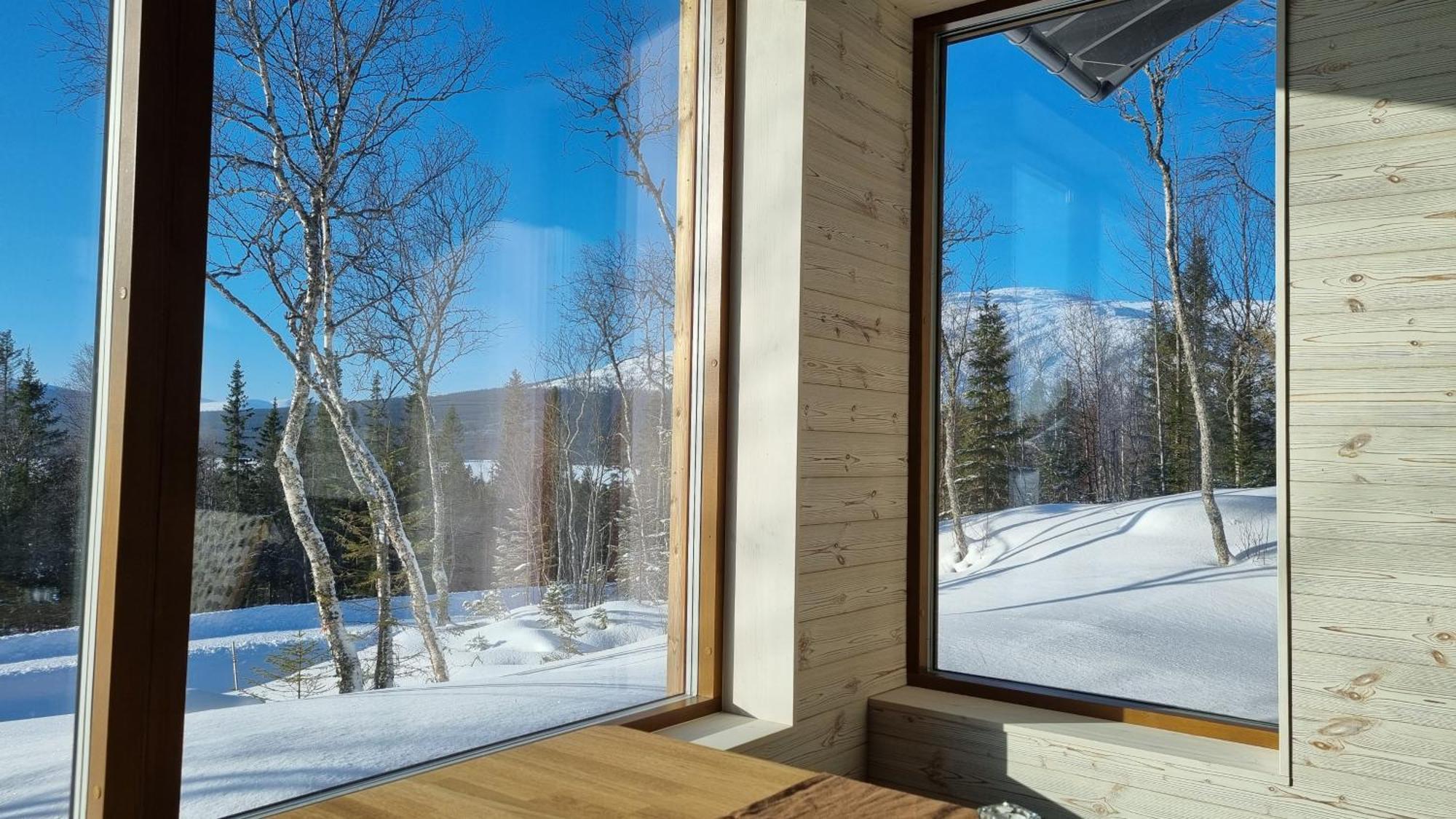 Mountain Holiday Homes - Ottsjoe, Trillevallen -Sweden Åre Cameră foto