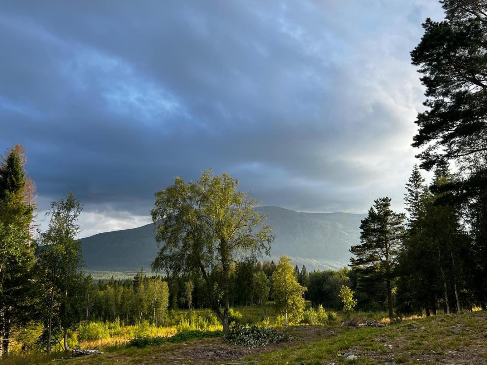 Mountain Holiday Homes - Ottsjoe, Trillevallen -Sweden Åre Cameră foto